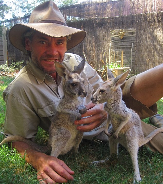 Un australian a salvat 28 de pui de cangur. Vezi cum arată! 5 article_429212_5.jpg