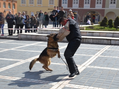 BRAȘOV. Ziua Poliției, aniversată în Piața Sfatului. GALERIE FOTO 3 article_430198_3.jpg