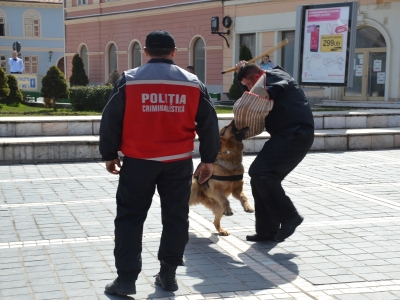 BRAȘOV. Ziua Poliției, aniversată în Piața Sfatului. GALERIE FOTO 6 article_430198_6.jpg