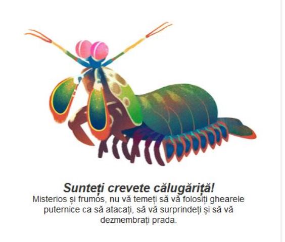 Google vă invită să faceţi un test amuzant 4 article_433642_4.jpg