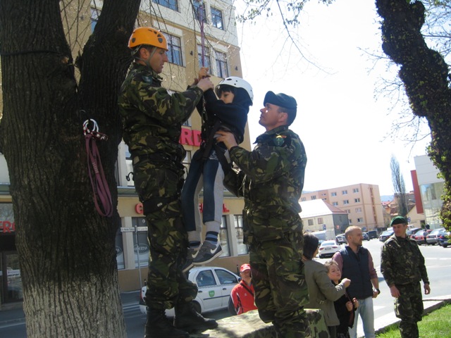 article_433911_11.jpg