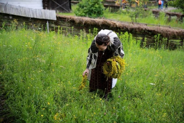 Sanziene Sibiu Paic5_187399.jpg