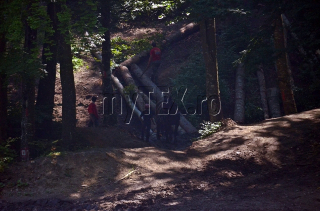 EXCLUSIV. Brașov. Amendă colosală pentru firma care exploata lemn în zona „La Iepure” 5 DSC_0599_188732.jpg