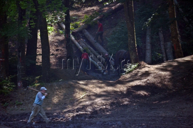 EXCLUSIV. Brașov. Amendă colosală pentru firma care exploata lemn în zona „La Iepure” 4 DSC_0625_188731.jpg