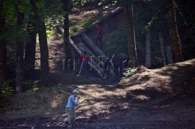 EXCLUSIV. Brașov. Amendă colosală pentru firma care exploata lemn în zona „La Iepure” 6 DSC_0626_188733.jpg