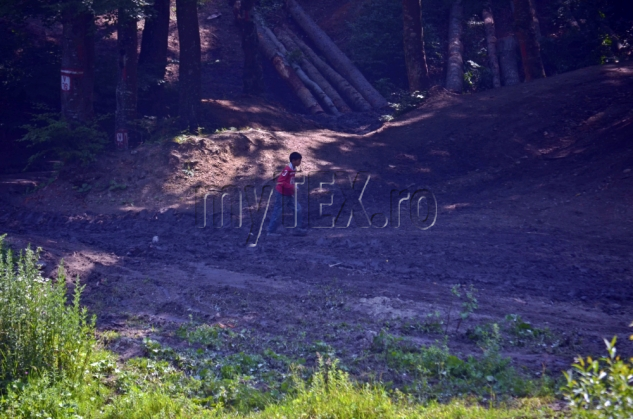 EXCLUSIV. Brașov. Amendă colosală pentru firma care exploata lemn în zona „La Iepure” 3 DSC_0730_188730.jpg