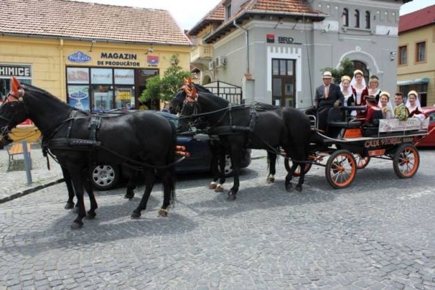 Romana dans caruta_188474.jpg