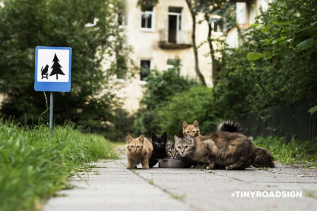 TINYROADSIGN-road-signs-for-animals2__880_190302.jpg