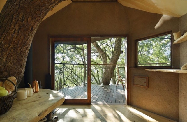 casa in copac 6_190040.jpg