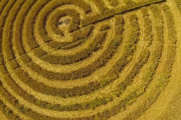 Cercuri misterioase într-un lan de grâu! 2 cercuri1_188820.jpg