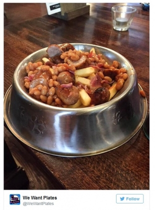 Mâncare servită în castroane pentru câini 3 dogs 2_190318.jpg