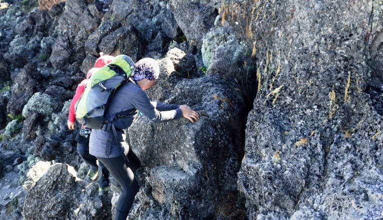 BRAȘOV. Dor Geta Popescu a devenit cea mai tânără româncă pe Kilimanjaro 4 dorgetapopescukilimanjaro4.jpg