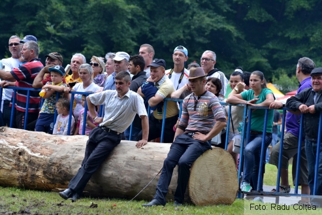 ecvestru rasnov 2015 (14)_188330.JPG