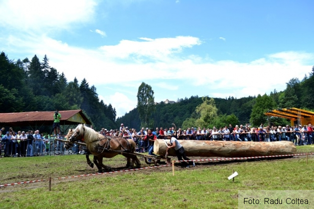 ecvestru rasnov 2015 (5)_188326.JPG