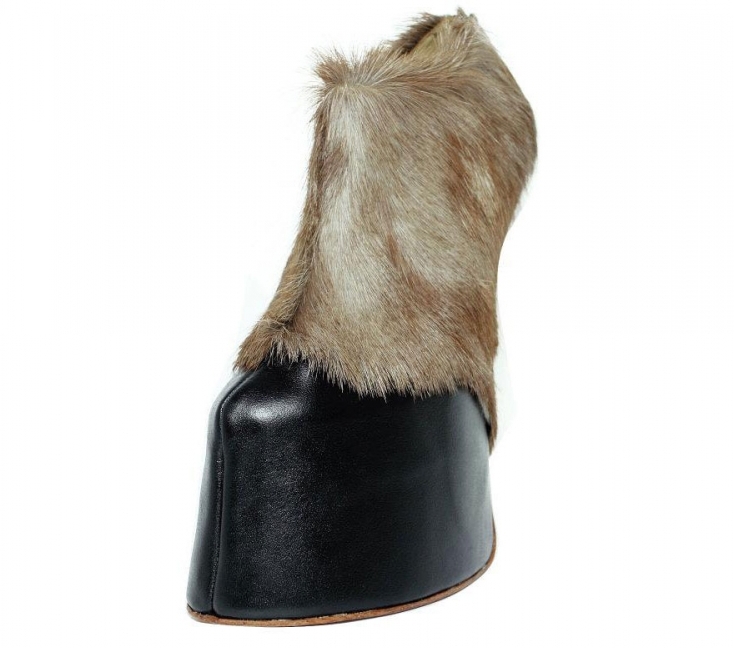 DEMENŢIALI! Cei mai ciudaţi PANTOFI. Galerie foto 6 pantof5.jpg