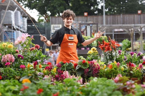 plante vb1_190255.jpg