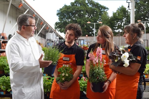 plante vb2_190254.jpg