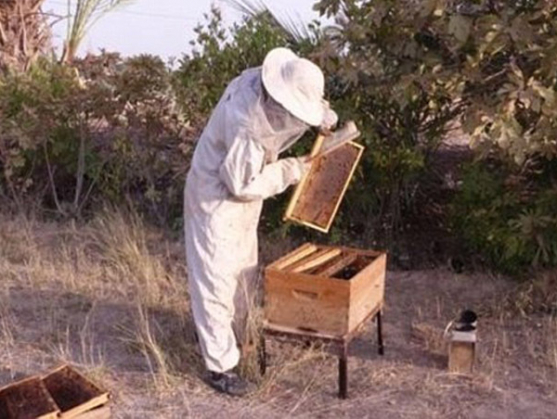 Super Ofertă! Jihadoturism prezintă: Vacanța ideală în califat. Pleci fără să ști dacă te mai întorci 2 Jihadoturism 1_190828.png