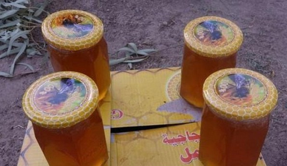 Super Ofertă! Jihadoturism prezintă: Vacanța ideală în califat. Pleci fără să ști dacă te mai întorci 3 jihadoturism 2_190829.png