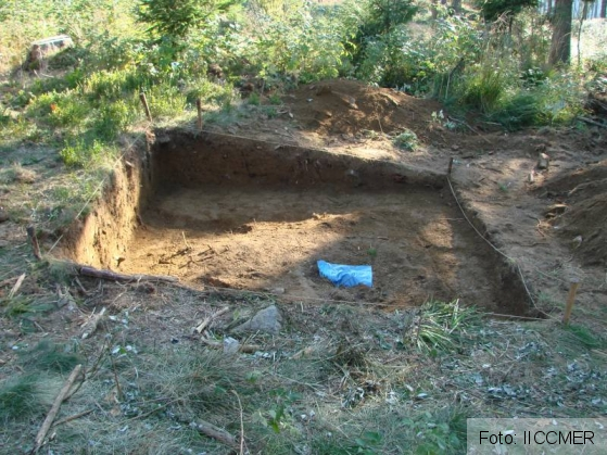 IICCMER oseminte_192911.JPG