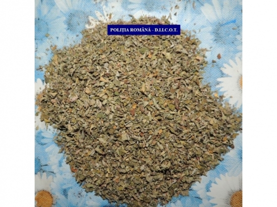 Trei inşi au fost arestaţi preventiv pentru trafic de droguri 2 big_untitled31_193824.jpg