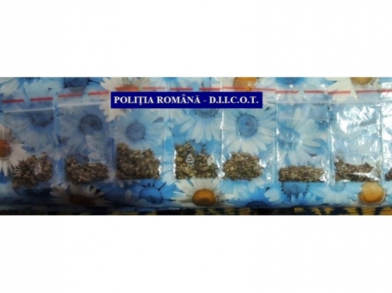 Trei inşi au fost arestaţi preventiv pentru trafic de droguri 3 big_untitled34r_193825.jpg