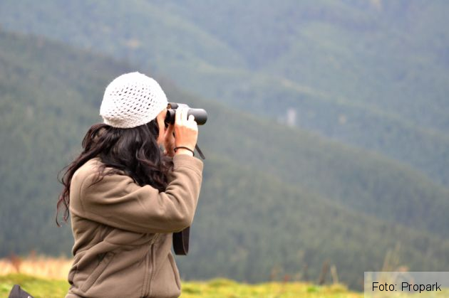 din bucegi (56)_195050.JPG