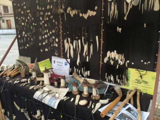 targ maghiar07_194240.jpg