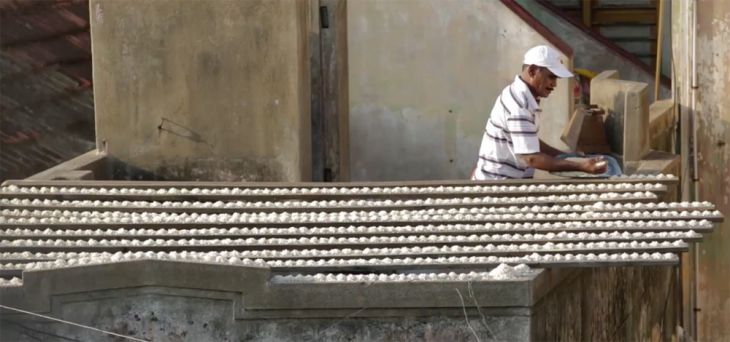 „Birdman“ are grijă de 4.000 de papagali 2 parakeets-3_197058.jpg