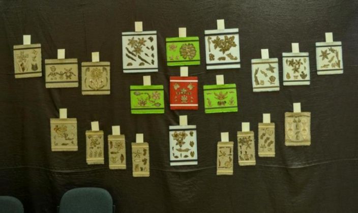 Targul regional artizanat si mestesuguri13_199515.jpg