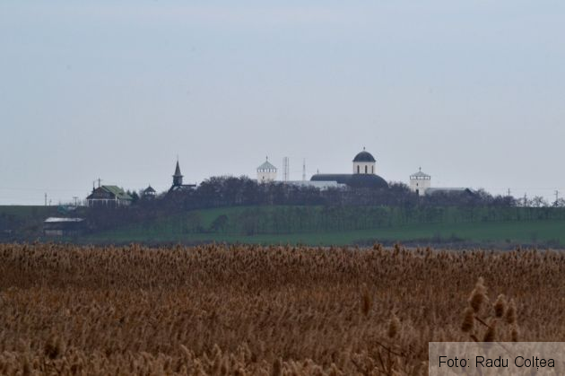 balta comana (10)_199041.JPG