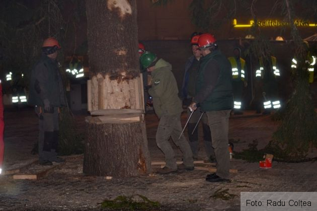 montare brad 2015 (22)_198646.JPG