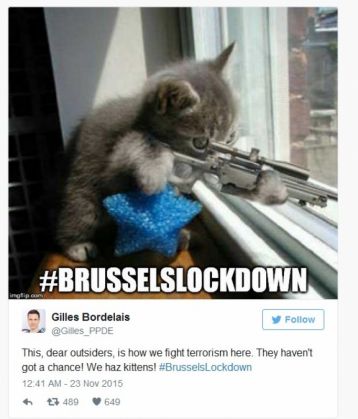 pisici belgia 3_199027.jpg