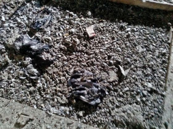 EXCLUSIV. Focar de INFECȚIE în spitalele din Brașov! Imagini șocante! 5 20151127_112848_199982.jpg