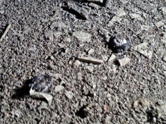 EXCLUSIV. Focar de INFECȚIE în spitalele din Brașov! Imagini șocante! 6 20151127_112956_199983.jpg