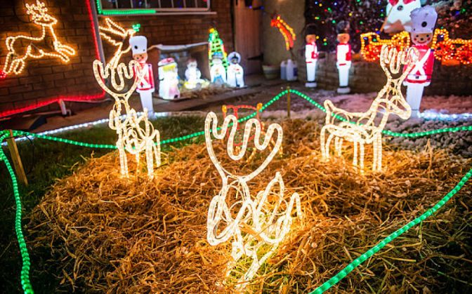 casa anglia 3_199766.jpg