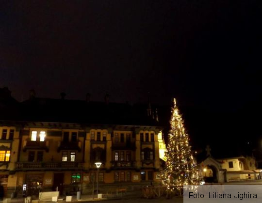 Bradul Piata Unirii_202020.jpg