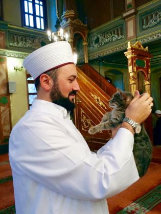 CatMosque1_202918.jpg