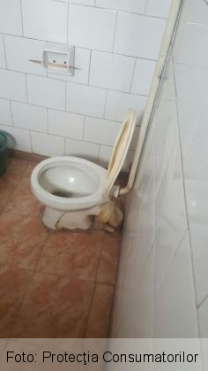 opc brasov 2_203643.jpg