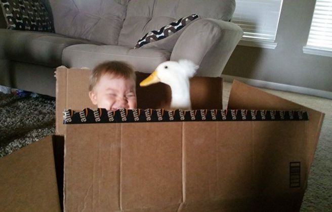 pet-duck-boy-best-friends-mr-t-and-bee-tyler-young-24_203360