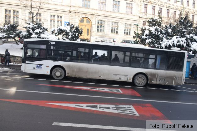 statie RAT trecere pietoni SIF ianuarie 08_203099.JPG