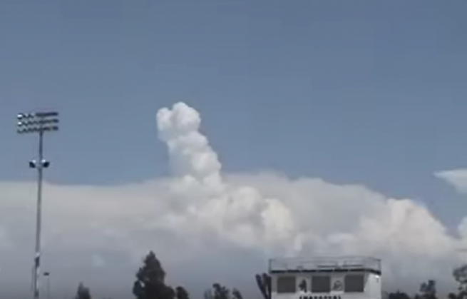 cer penis2_203876.png