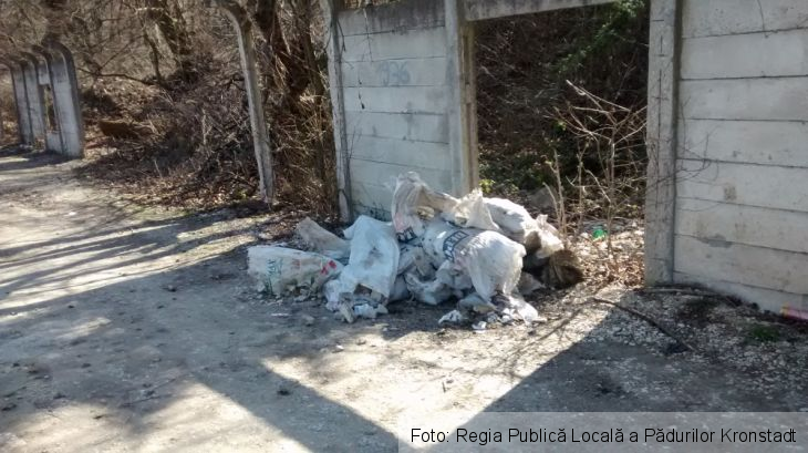 Zona Europharm_208331.jpg