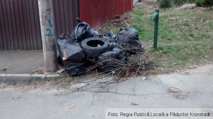 Zona Noua 1_208329.jpg