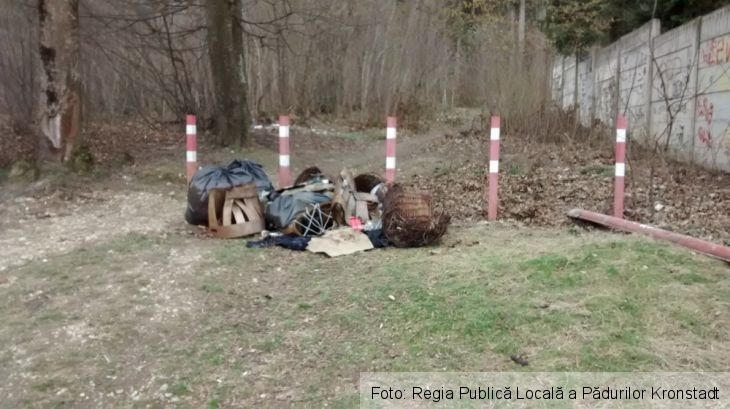 Zona Noua 4_208328.jpg