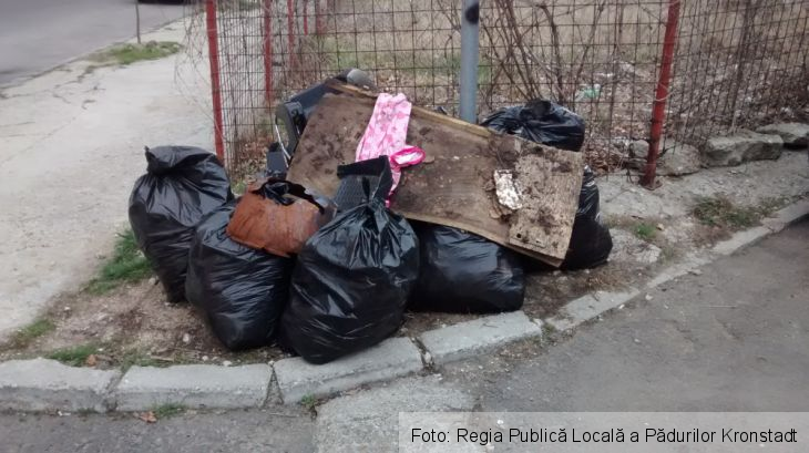 Zona Noua 5_208332.jpg