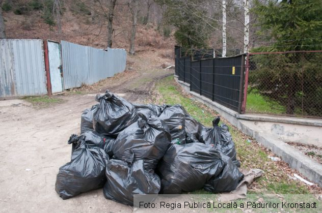 Zona Noua 6_208333.jpg