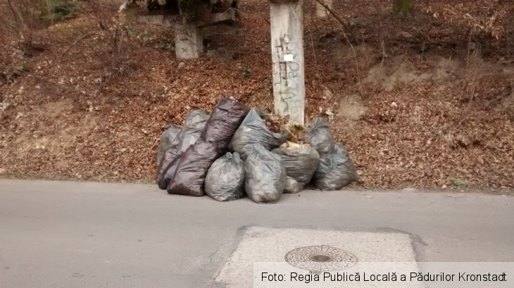 Zona Panselelor 0_208337.jpg