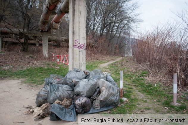 Zona Panselelor 4_208338.jpg