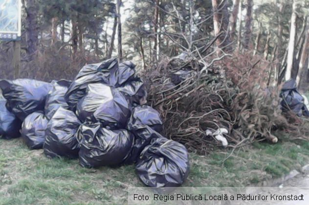 Zona Sprenghi 6_208335.jpg